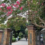 余談です…「サクラサク」願います🌸